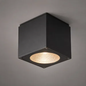 CASE CEILING DOWNLIGHT