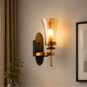 Modern Decorative Wall Light WL-P11-F03